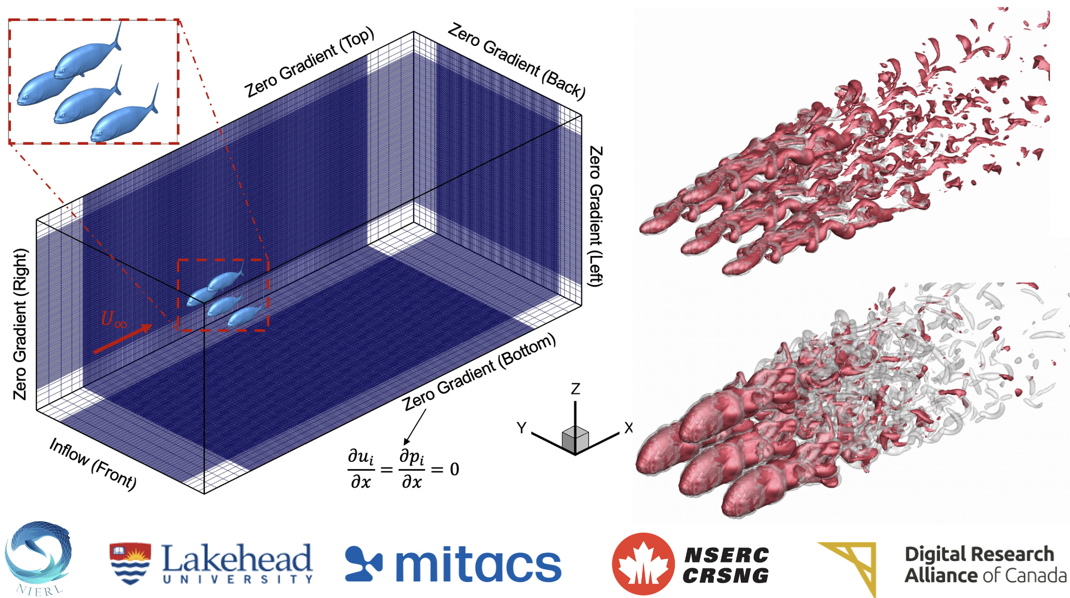 Integrated Vortex-Odor Dynamics