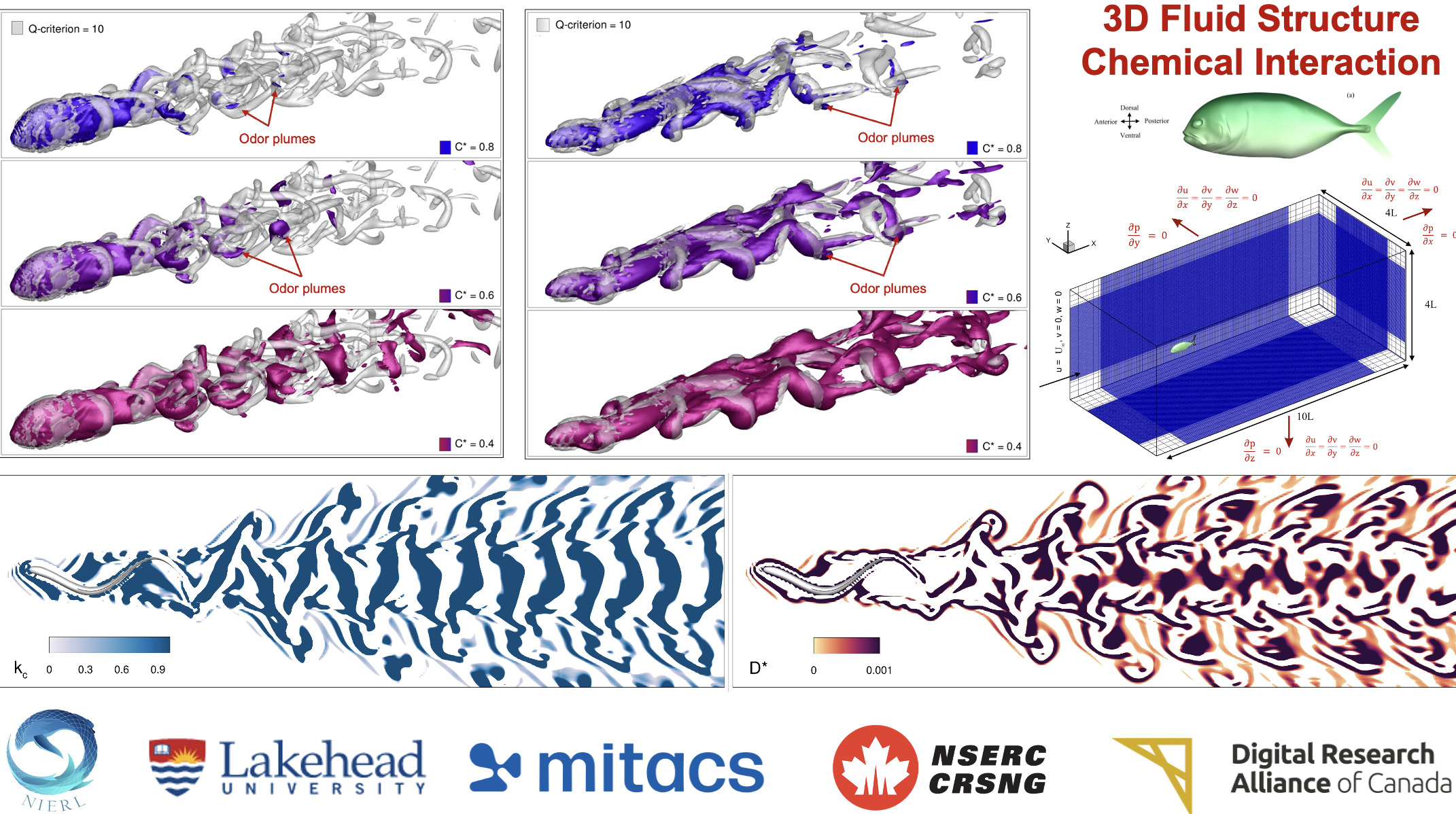 3D Coupled Vortex-Odor Dynamics